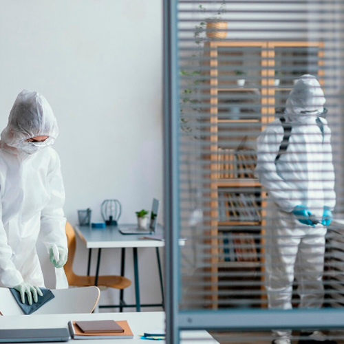Проведение дезинфекционных, дезинсекционных и дератизационных работ в организациях различного профиля