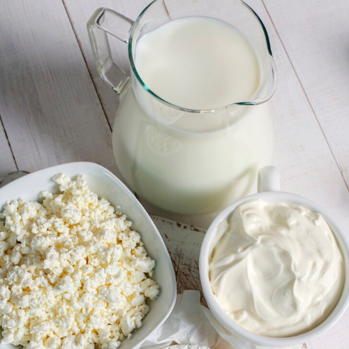 Технология переработки молока и молочных продуктов